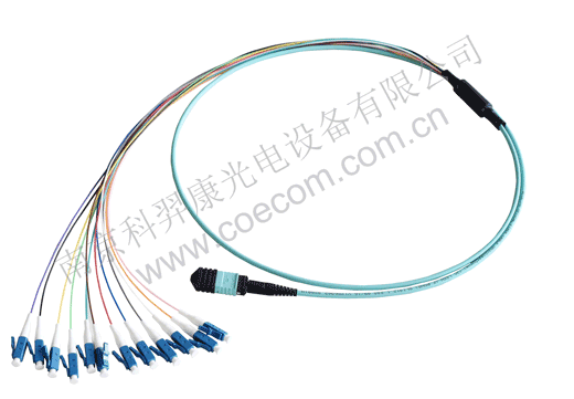 MPO-LC跳线.gif